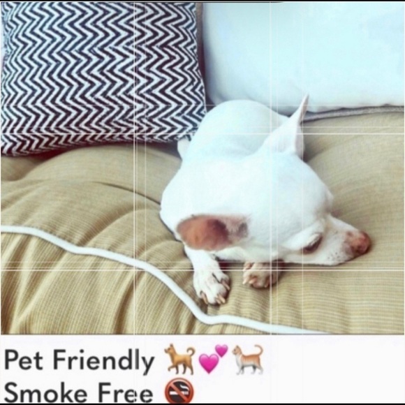 Galveston Island Texas Mermaid crop top tank - Picture 8 of 8